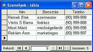 Microsoft Access adatbázis tábla